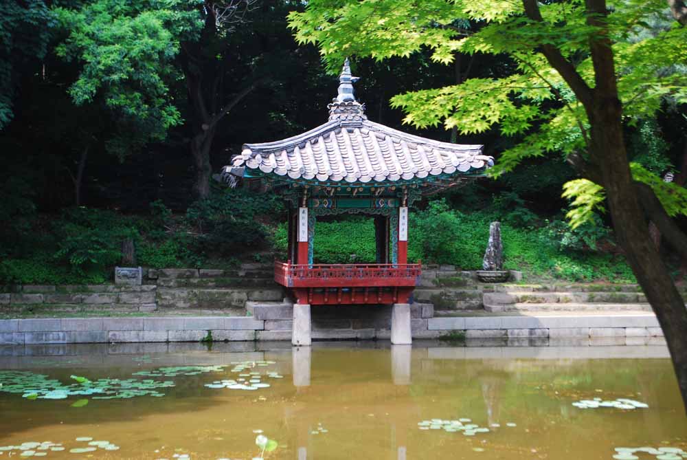 Changdeokgung Palace Seoul S Secret Garden Eager Journeys