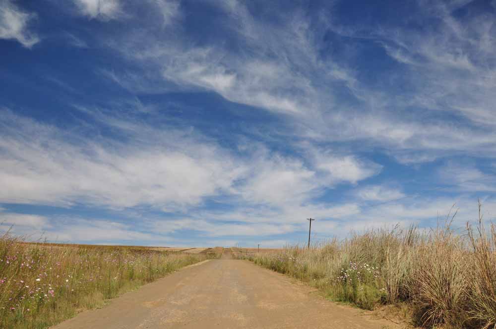 The Dirt Road