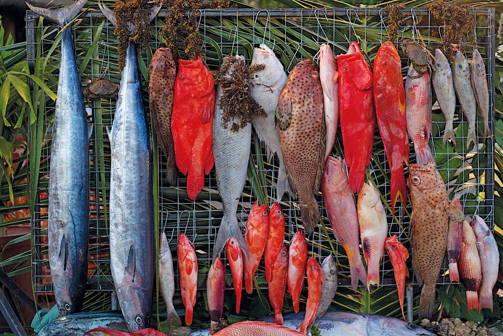 mauritian meals