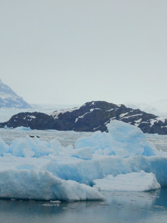 Cruising Alaska