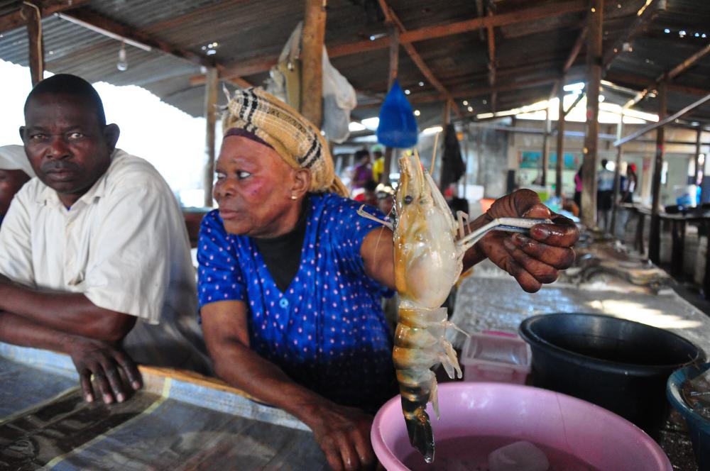 Maputo Fish Market