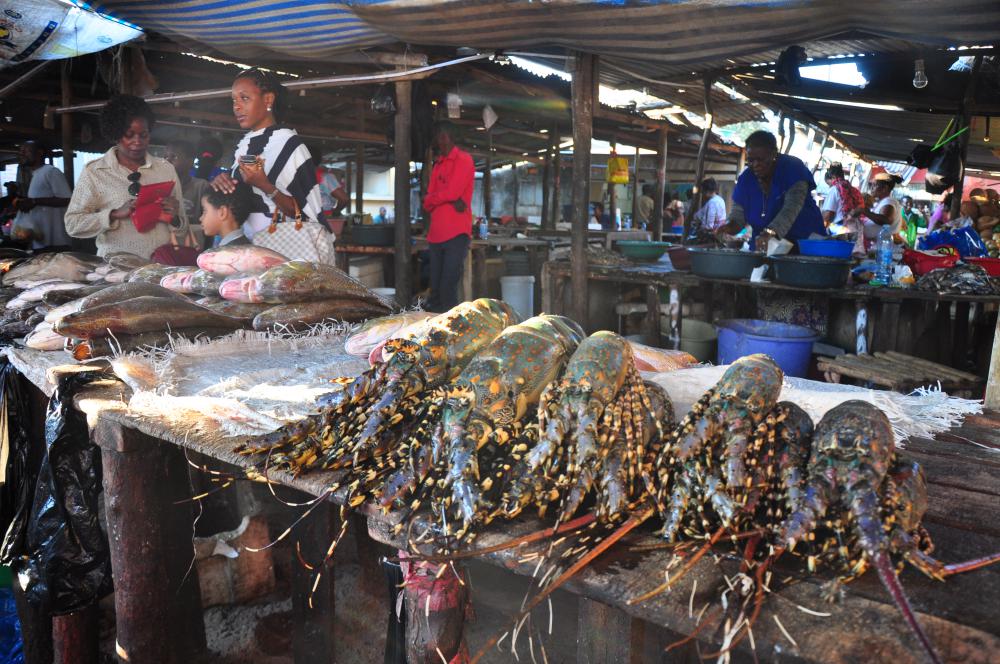 Maputo Fish Market