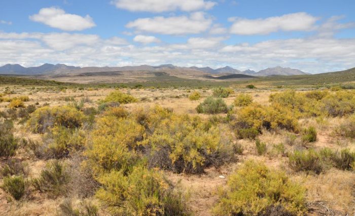 Gamkaberg Nature Reserve: Big Sky, Klein Karoo Country