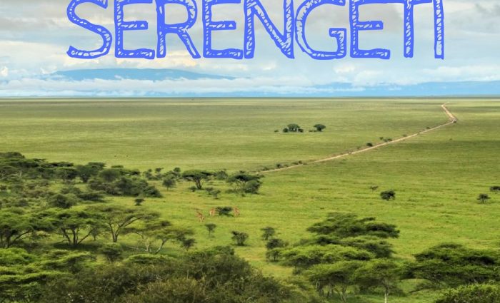 The Great Migration in Serengeti National Park