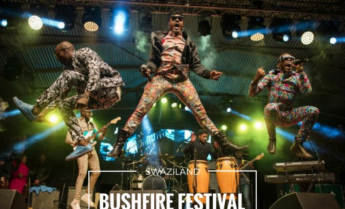 Going to Swaziland’s Bushfire Festival? Read this!