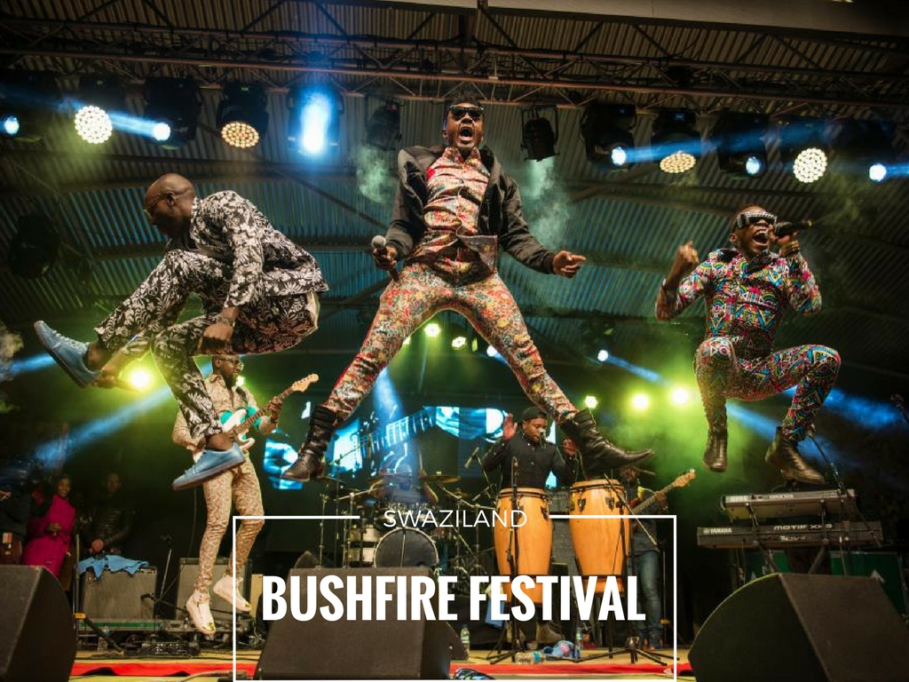 Bushfire Festival