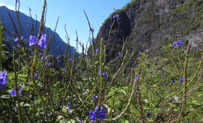 Réunion Island: An A-Z Guide for travellers